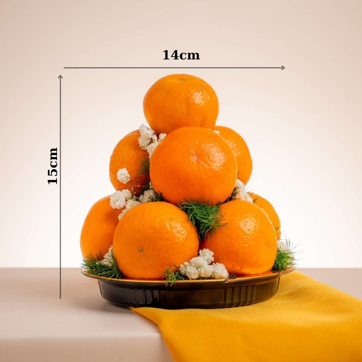  Khay Quýt Size S - GIAO NỘI THÀNH TPHCM 
