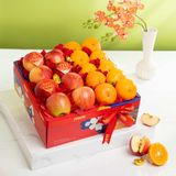  Lunar Bloom 01 (CHỈ GIAO TP.HCM) 