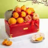  Lunar Bloom 04 (CHỈ GIAO TP.HCM) 