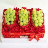  Lunar Bloom 10 (CHỈ GIAO TP.HCM) 