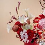  [PRE-ORDER 24H] NGỌC SẮC  - GIAO NỘI THÀNH TPHCM 