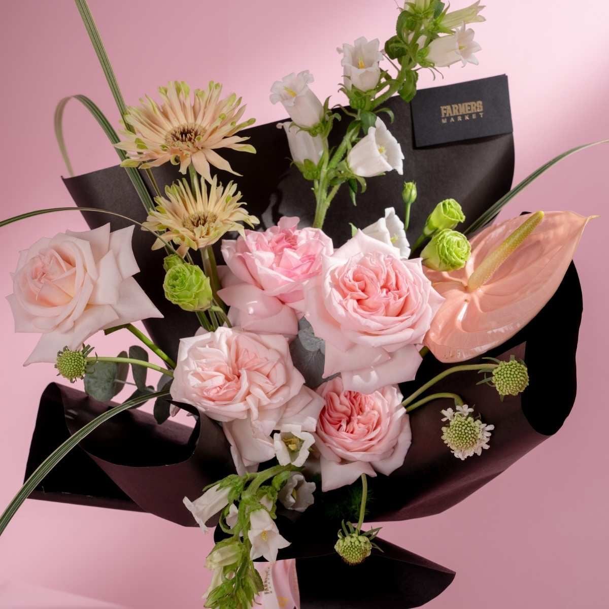  [20/10] OHARA PINK WHISPER - GIAO NỘI THÀNH TPHCM 