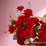  [20/10] SCARLET OHARA BASKET - GIAO NỘI THÀNH TPHCM 