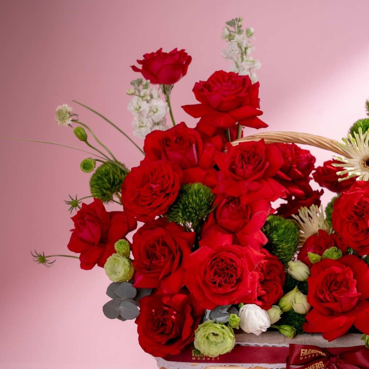  [20/10] SCARLET OHARA BASKET - GIAO NỘI THÀNH TPHCM 