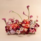  [PRE-ORDER 24H] THIÊN HƯƠNG - GIAO NỘI THÀNH TPHCM 