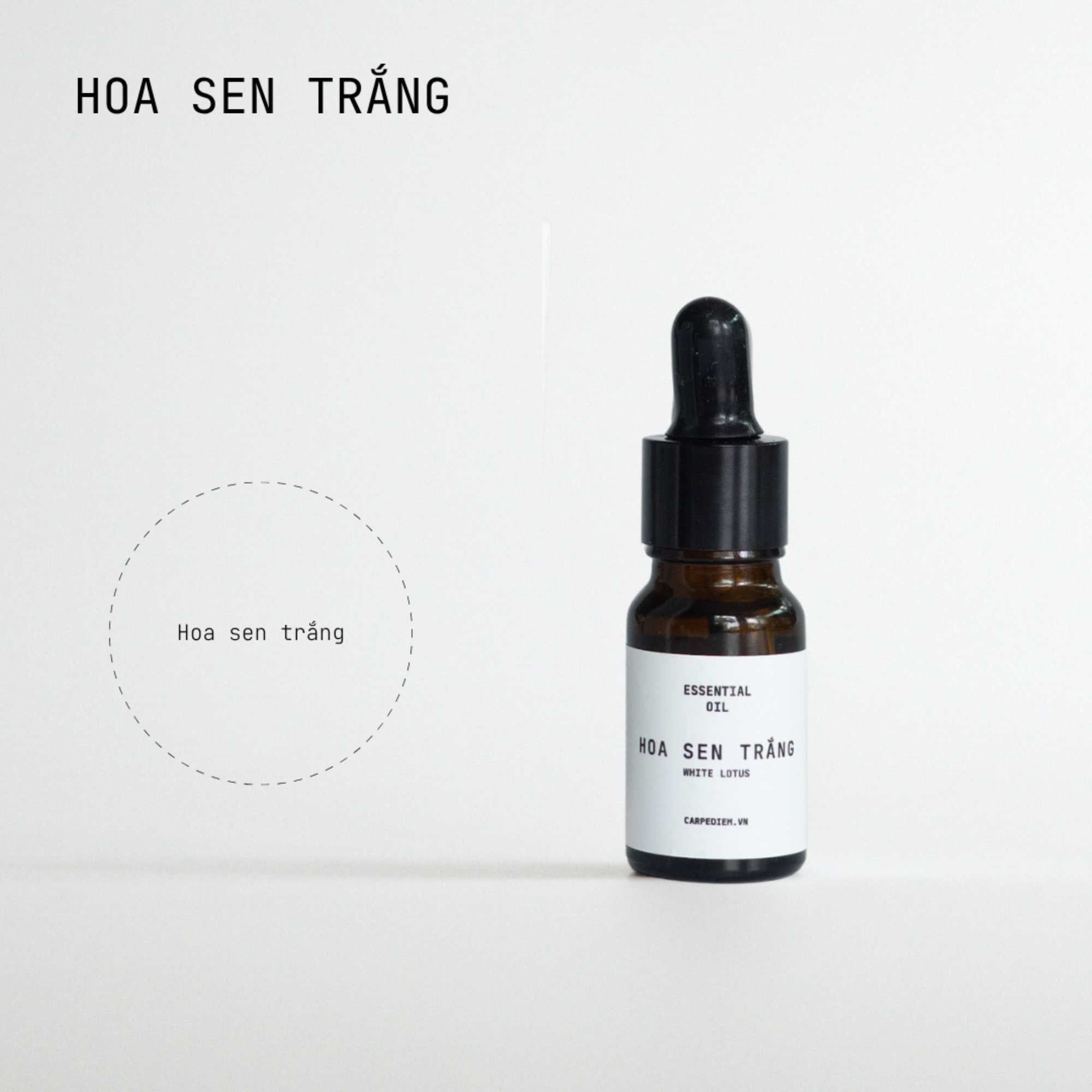  [PRE-ORDER 48H] Tinh dầu nhỏ giọt Carpe Diem- hương Hoa Sen Trắng 10ML 