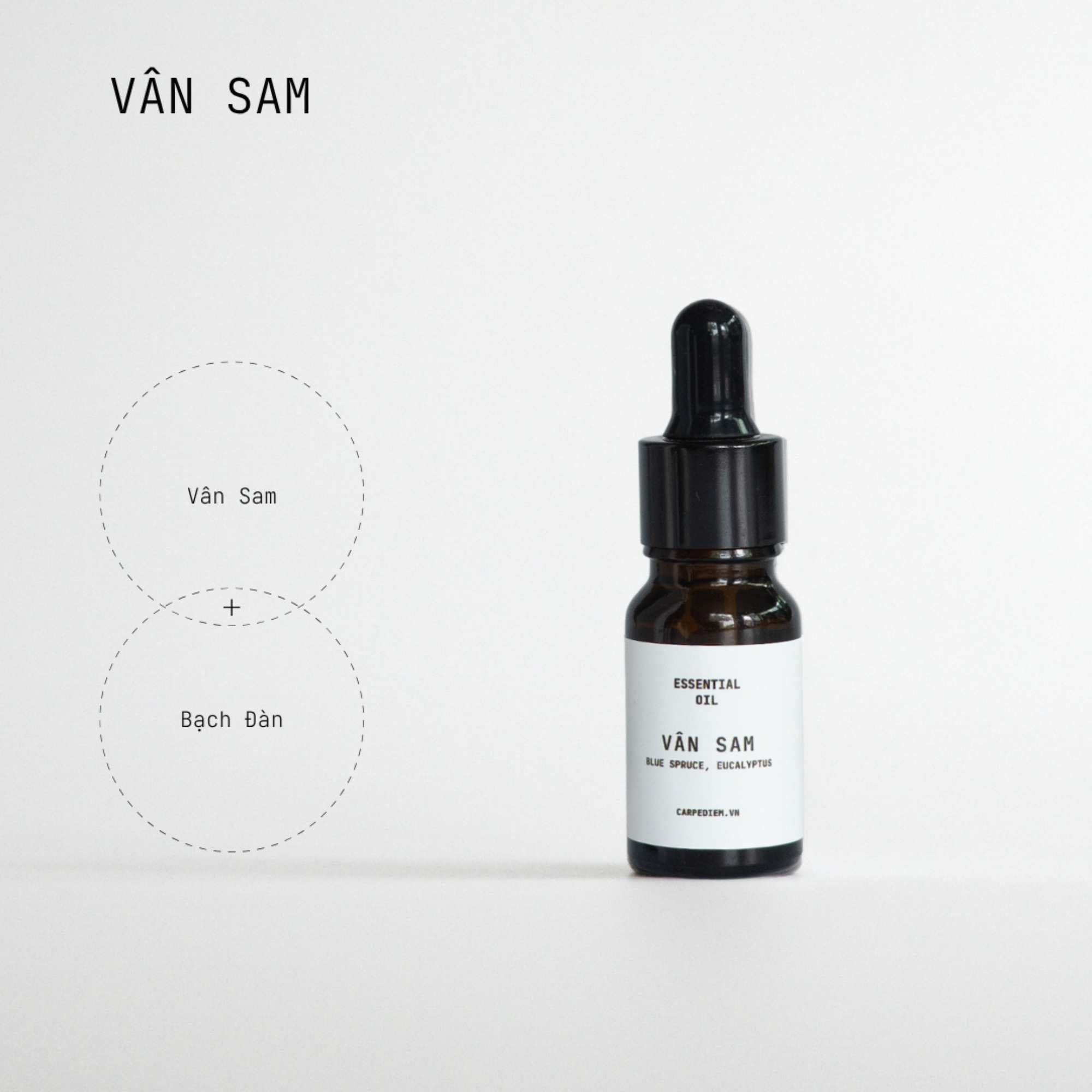  [PRE-ORDER 48H] Tinh dầu nhỏ giọt Carpe Diem- hương Vân Sam 10ML 