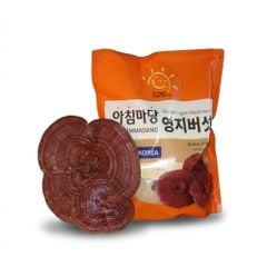 Nấm Linh Chi Đỏ Nguyên Tai Cao Cấp Achimmadang Korea Lingzhi Mushroom 1kg Hàn Quốc