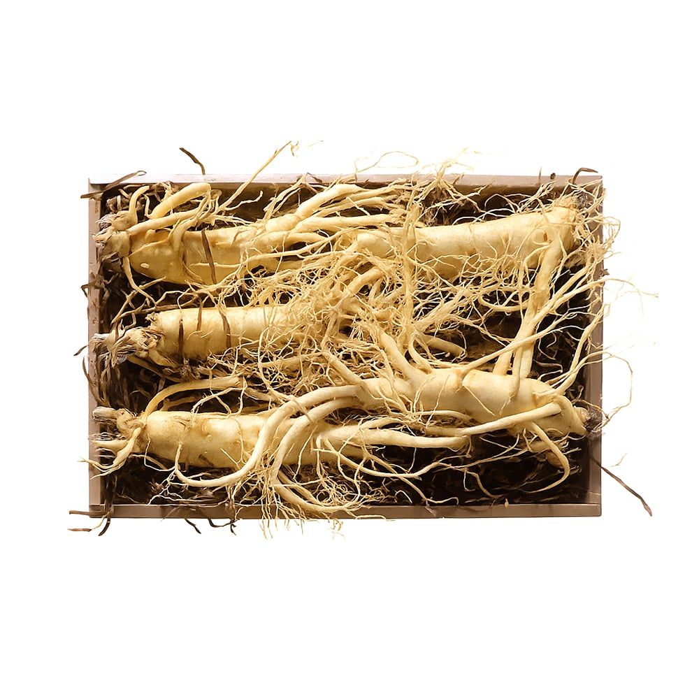 Nhân Sâm Tươi KGC Hàn Quốc 6 Năm Tuổi, Đã Làm Sạch - Nhập Khẩu Chính Ngạch