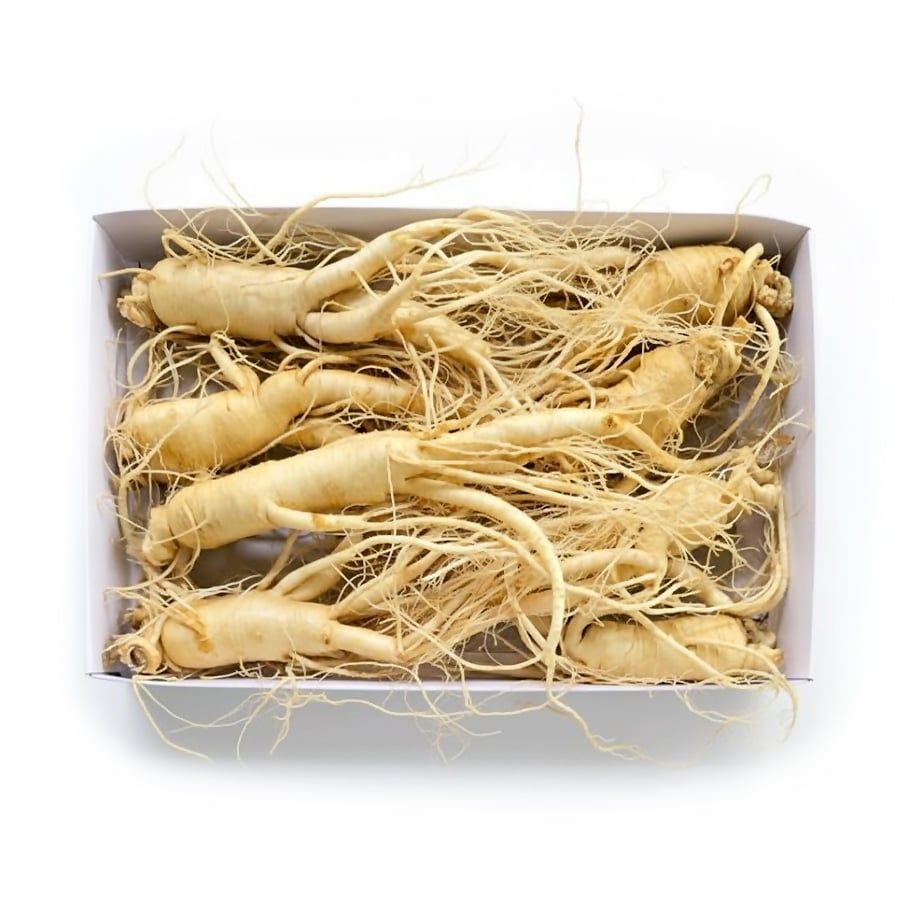 Nhân Sâm Tươi KGC Hàn Quốc 6 Năm Tuổi, Đã Làm Sạch - Nhập Khẩu Chính Ngạch