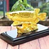Tượng Cá rồng phong thủy mạ vàng
