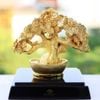Cây kim tiền mạ vàng 24K