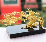 Cây Mai mạ vàng 2 in 1