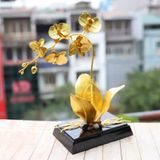 Hoa Phong Lan mạ vàng 24K