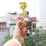 Hoa hồng mạ vàng 24K