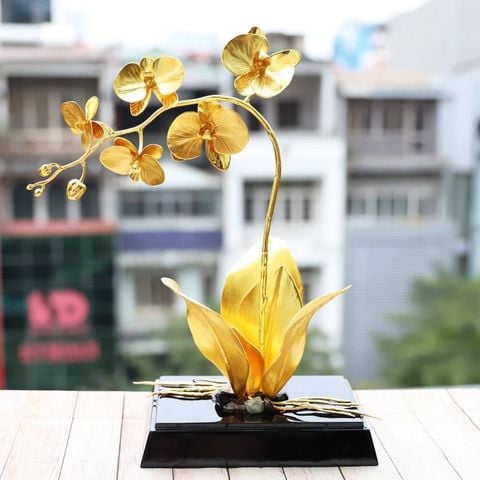 Hoa Phong Lan mạ vàng 24K