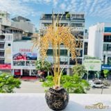 Hũ Lúa Tài Lộc Mạ Vàng