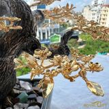 Cây Hoa Mai Ngũ Phúc Mạ Vàng