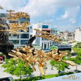 Cây Hoa Mai Ngũ Phúc Mạ Vàng