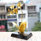 Hoa Phong Lan mạ vàng 24K