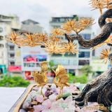 Tùng Hạc Diên Niên Mạ Vàng