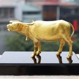 Tượng Trâu Vàng Vững Bước