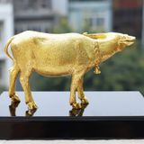 Tượng Trâu Vàng Vững Bước