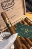 Ramon Allones Absolutos Edición Limitada 2024 (Giá: Liên hệ)