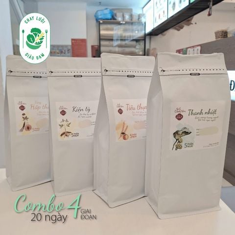 COMBO 4 SET CANH TIỀM 4 GIAI ĐOẠN
