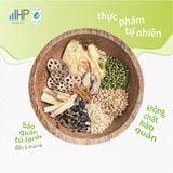 SET CHÁO GIẢI NHIỆT ĐỘC (set Phổi)