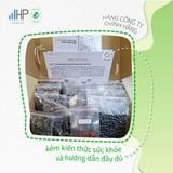 Set Đậu và thảo mộc (Set Thận 5 ngày)