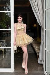 Đầm Xòe SN Đính Nơ