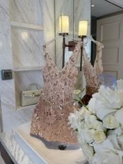 Đầm Kim Sa Cổ V Viền Đá