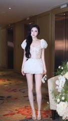 Áo Lưới Nền Ren Tay Phồng