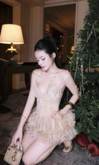 Đầm 2S Ren Tầng Charm