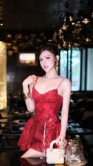 Đầm 2S Xòe Nhũ Đính Hoa