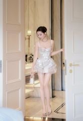 Đầm Lưới Ren Xòe Đính Hoa