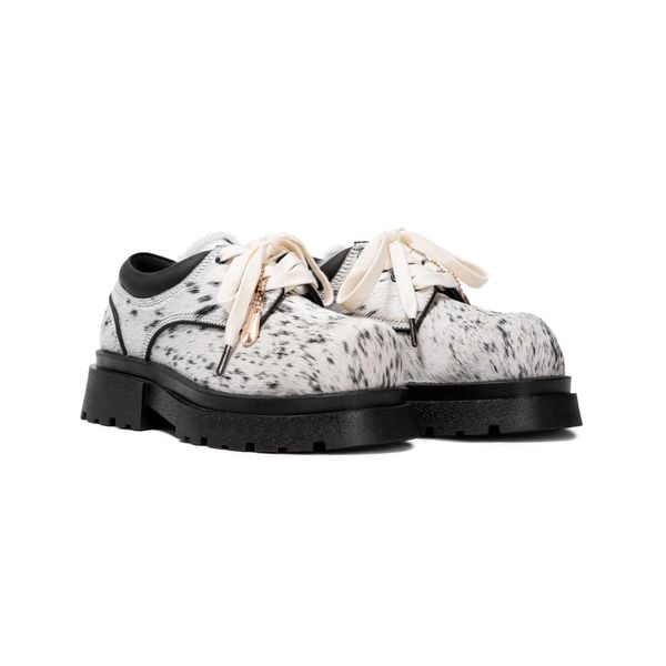 color_DALMATIAN