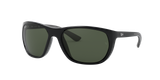  RayBan RB4307 601/71 sunglasses 