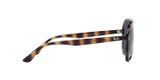  Ray Ban RB4376 701/80 Bill sunglasses 