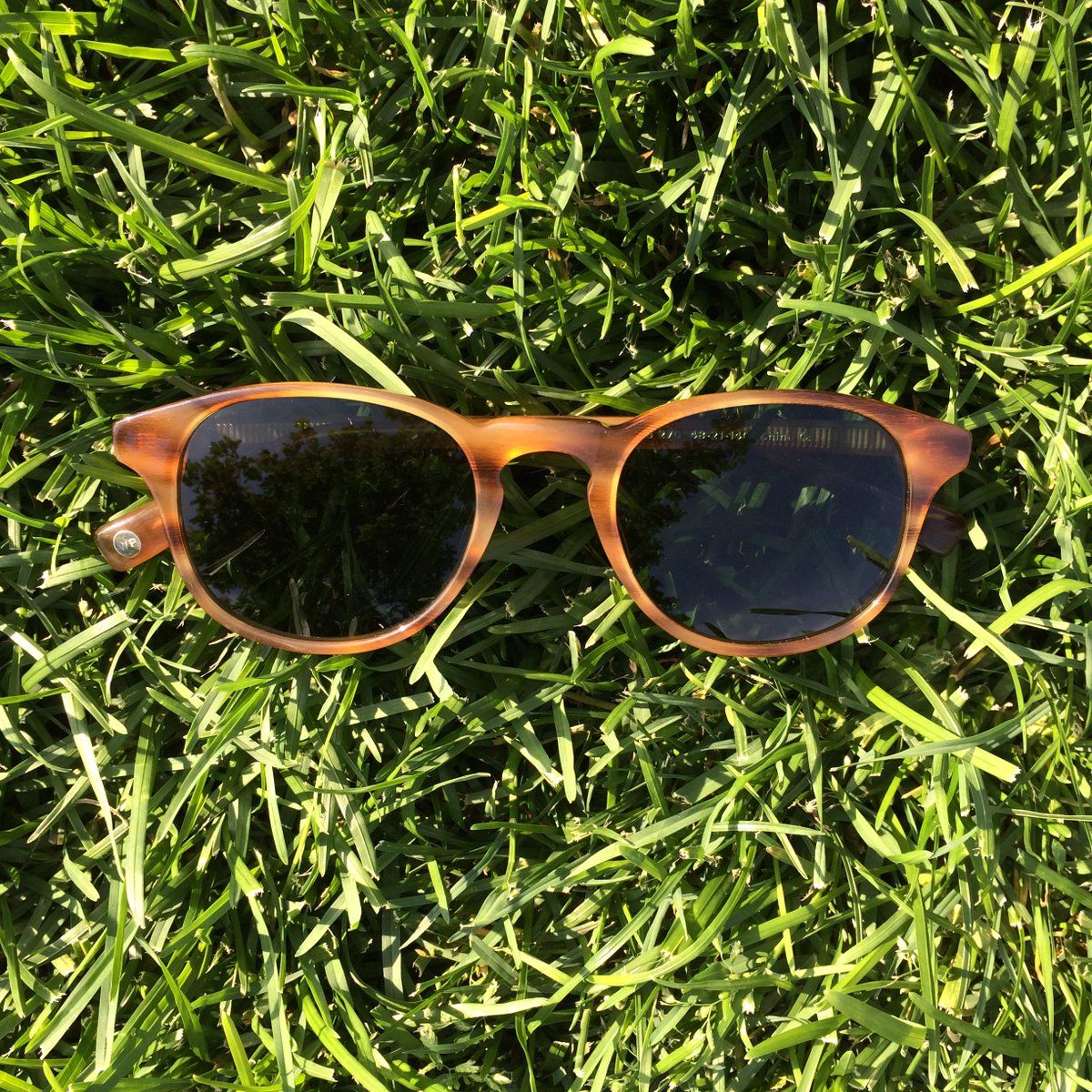  Warby Parker Downing English Oak sunglasses 