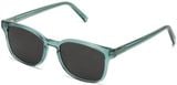 Warby Parker Hemmings W 319 sunglasses 