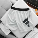  Short Adidas Terrex 2026 