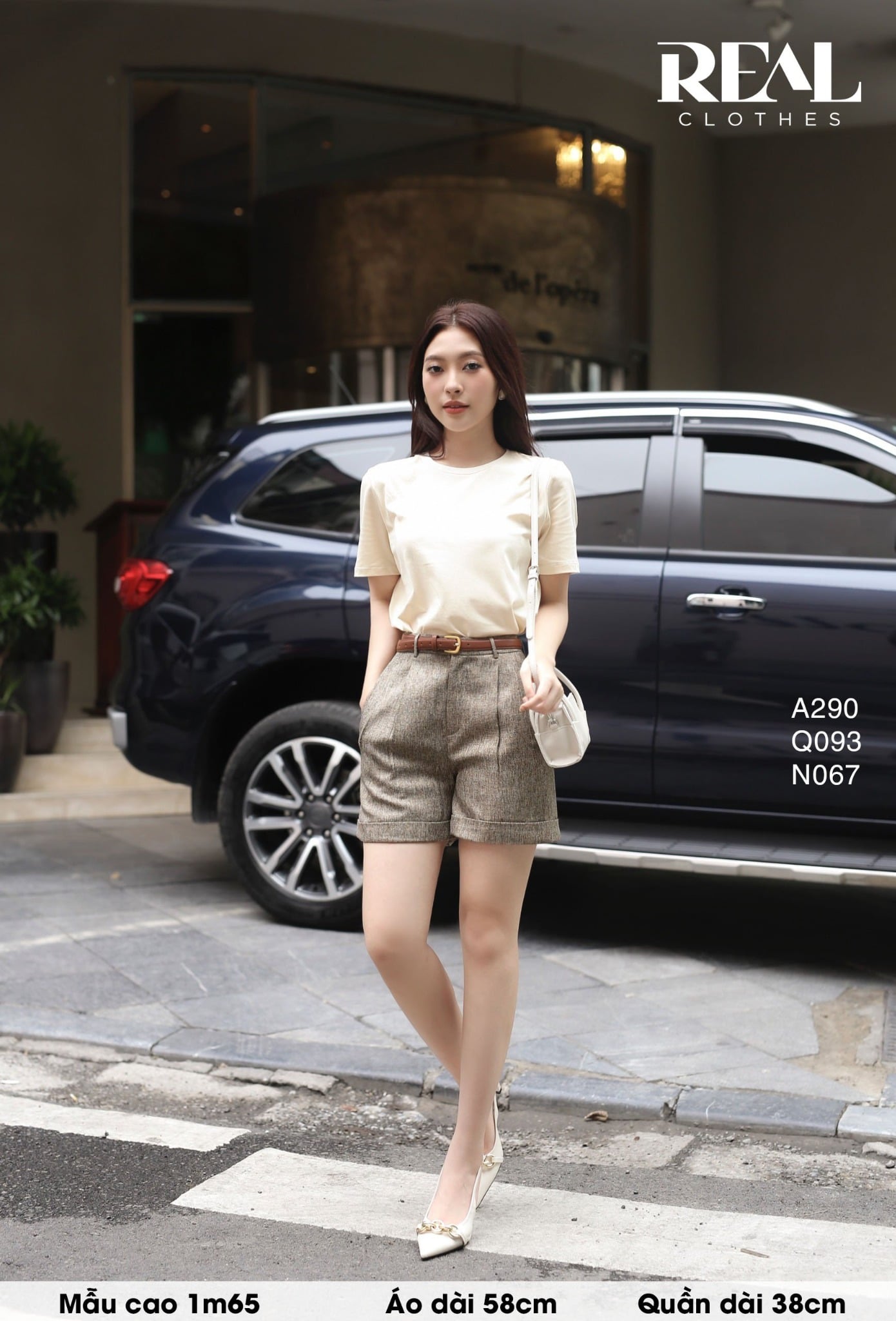 Áo thun cotton SALE