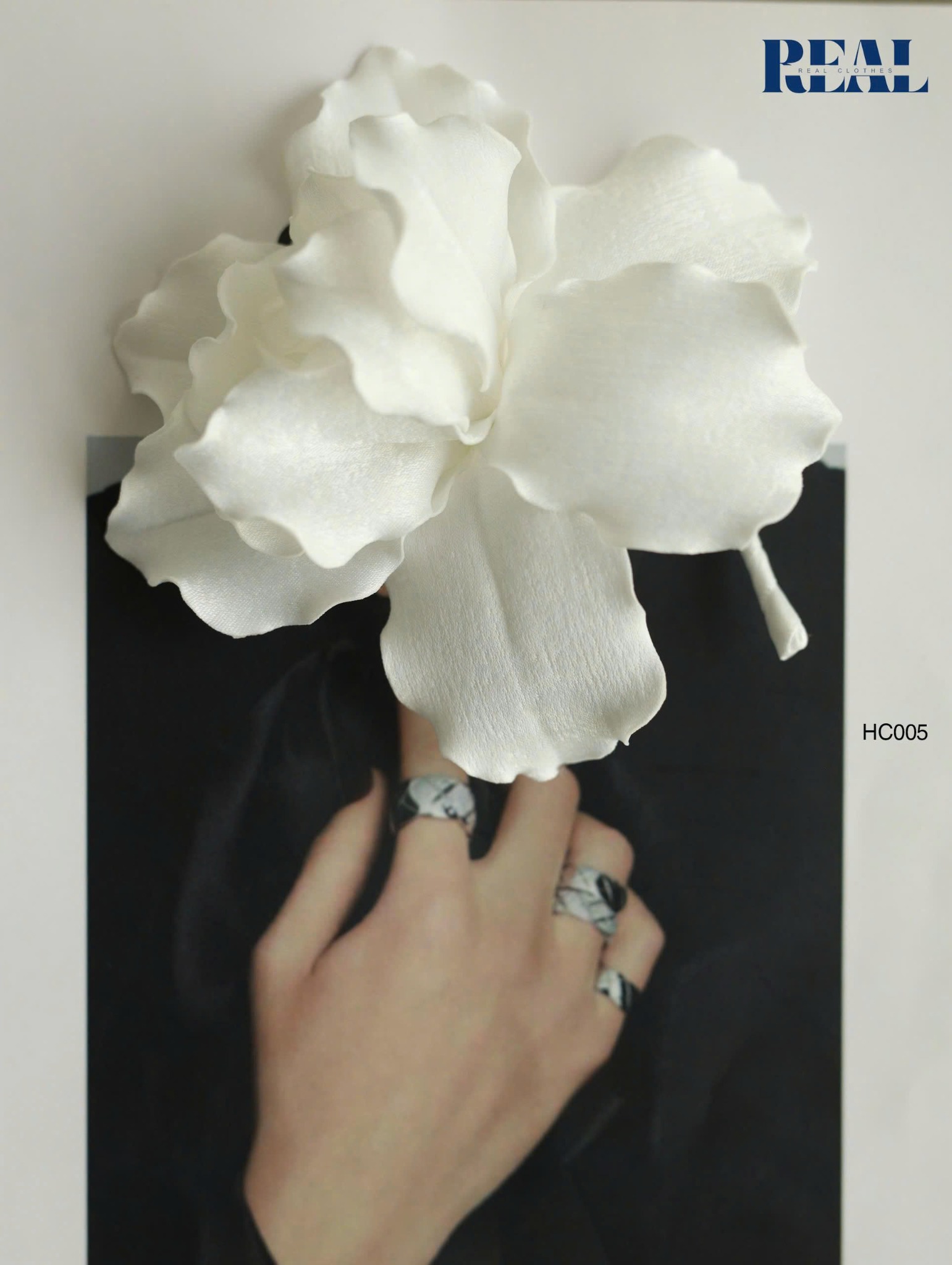 Cài áo hoa diên vĩ