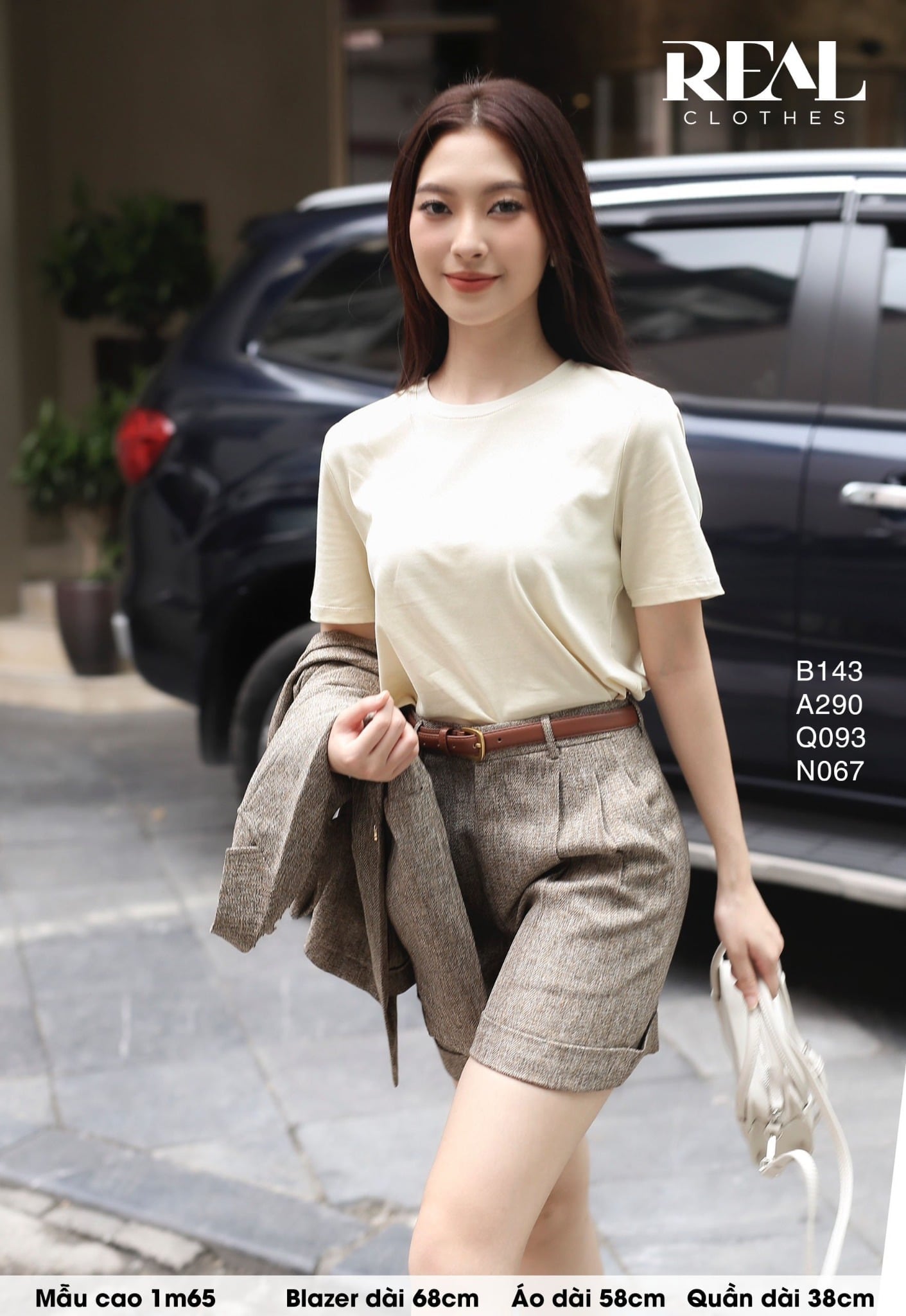 Áo thun cotton SALE