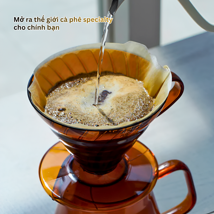  Phễu V60 pha cà phê Hario V60 Coffee Dripper size 02 màu Hổ phách (bản giới hạn) 