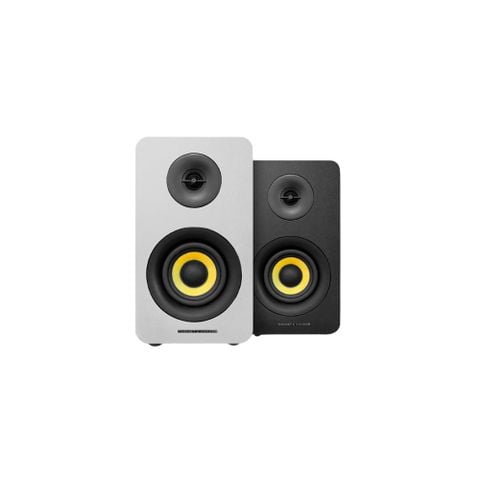  Cho thuê Loa Kiểm Âm Thonet & Vander Kumpel (Cặp) 