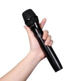  Cho thuê microphone không dây Alpha Works D2 