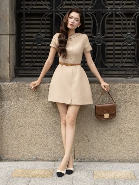 Đầm Xòe Công Sở Cotton Ngắn Cổ V - DAH23T - 1